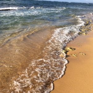 Meet your Posher, Laine